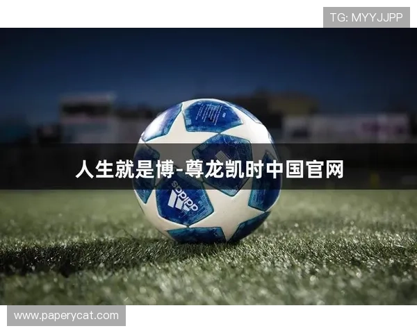 尊龙人生就是博网址为新手玩家提供详细的操作指南与入门技巧